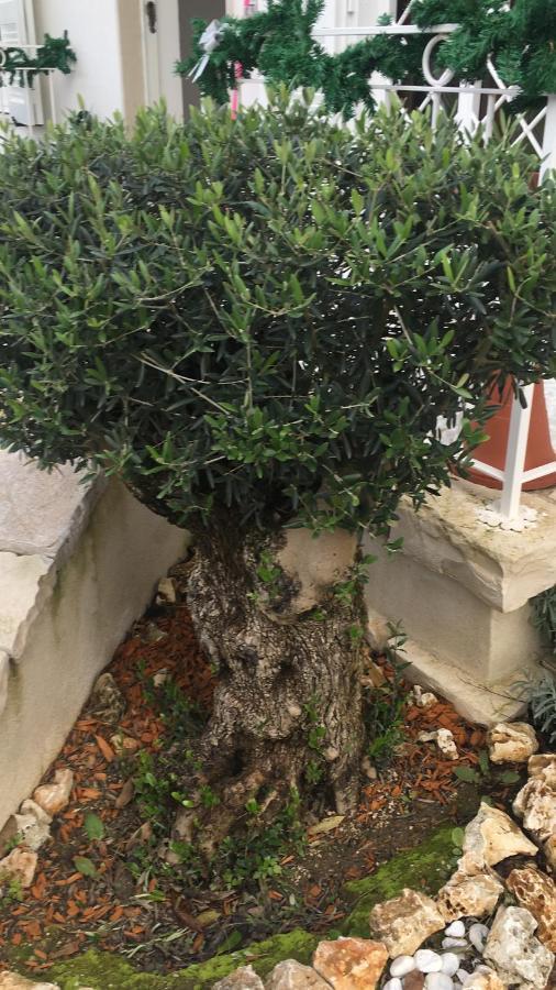 Bed and breakfast Il Casale Di Gio *